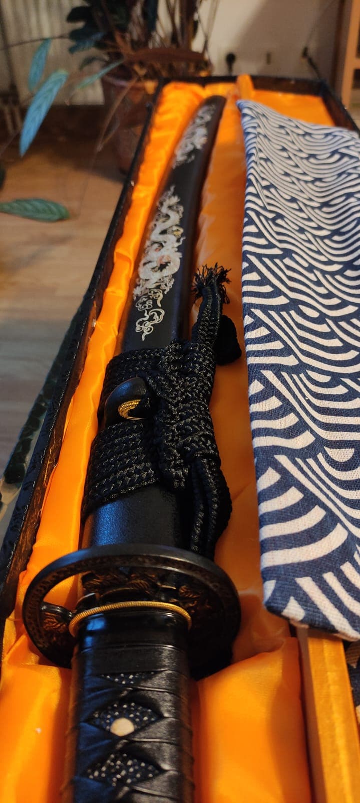 Immagine #1 da Anonimo